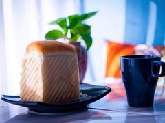 -咖咖熊蛋糕定制·蓝风车动物奶油