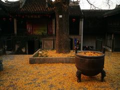 -忆秦园小笼包(惠山古镇总店)