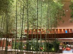 -北京望京凯悦酒店The Lounge大堂酒廊