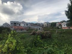 -军营村