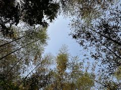 -南山风景名胜区