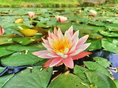 -宁波九龙湖开元度假村