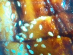 -锦亭料理