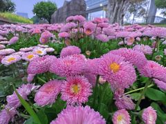 -东钱湖旅游度假区