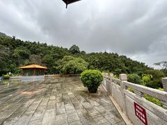 -深圳仙湖植物园