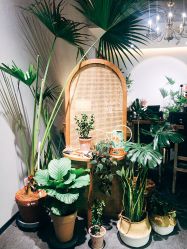 -芳香乐府疗愈空间·SPA·冥想