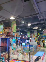 -卡通尼·Safari非洲探索乐园·生日会(金桥国际商业广场店)