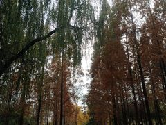 -洛阳市隋唐城遗址植物园