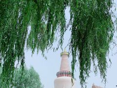 -张掖大佛寺景区