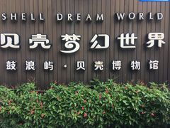 -贝壳梦幻世界