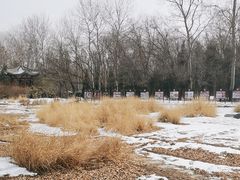 -北京麋鹿生态实验中心