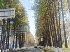 -歌斐颂巧克力小镇