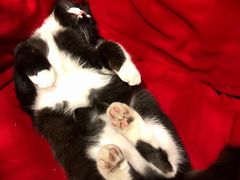 -么么咖啡(燕郊店)