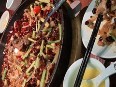 -老板恋上鱼(振华商厦店)