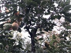 -遵化汤泉宫度假村温泉