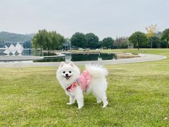 -上海月湖雕塑公园