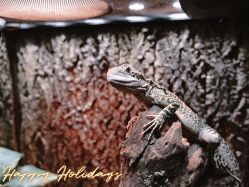 -酷嗒动物文化乐园(cutezoo西溪乐天城店)