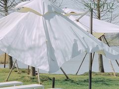 -荷兰花海