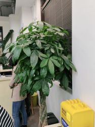 -悦·臻时美发沙龙