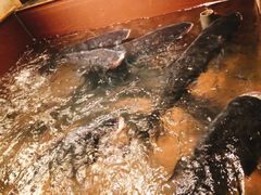 -上名堂·鱼头好吃(体育场路店)