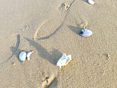 -威海国际海水浴场旅游区