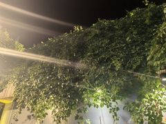-鸽子窝(宋庄店)