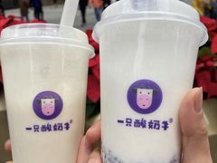-一只酸奶牛(八一路店)