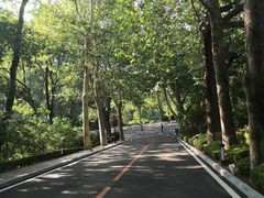 -棒棰岛宾馆景区