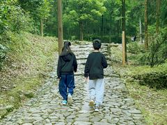 -仙霞关景区