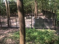 -合肥滨湖国家森林公园