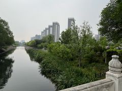 -大望京公园
