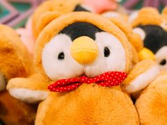 -海合安武汉极地海洋公园