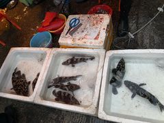 -厦门海港英迪格酒店(中山路店)