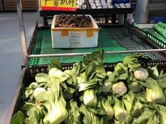 -卜蜂莲花(辽阳西路店)