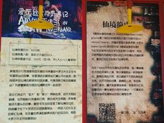 -爱丽丝冒险奇遇记