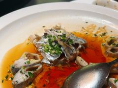 -曼格纳·曼芯馆(杨浦店)