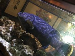 -鱼乐轩海鲜专门店