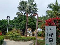 -万绿园