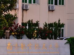 -托乐嘉美食广场(托乐嘉街区店)