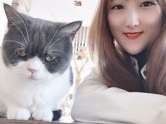 -猫的茶·猫咖