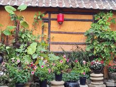 -园林美食城·本土农家菜(杨和镇店)