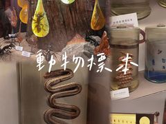 -正佳自然科学博物馆