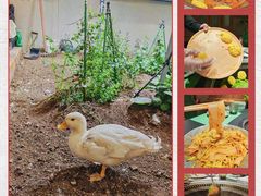 -蘸小院铁锅炖·蘸酱菜·东北菜(怀远门店)