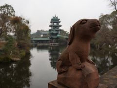 -桂湖森林公园