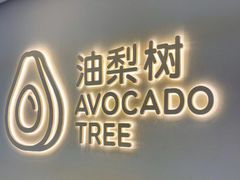 -油梨树AVOCADO TREE(望京店)