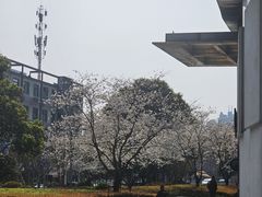 -上海世纪汇广场