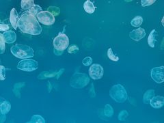 -多彩贵州城极地海洋世界