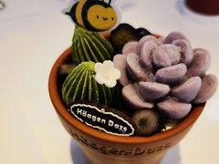 -哈根达斯(天河城店)