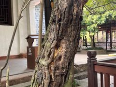 -三苏祠