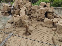 -西安秦岭野生动物园